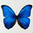 Avatar de estherfem