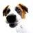 Avatar de Lupyta