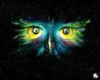 Avatar de Ivan Dimas