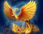Avatar de Fenix